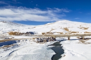 Tibet Tour and treks