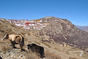 Tibet Tour and treks